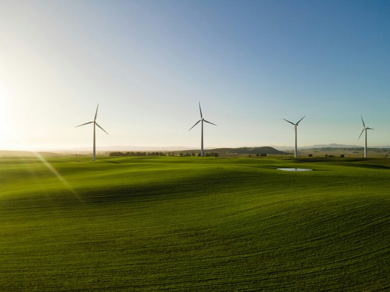 Sustainability & Environment